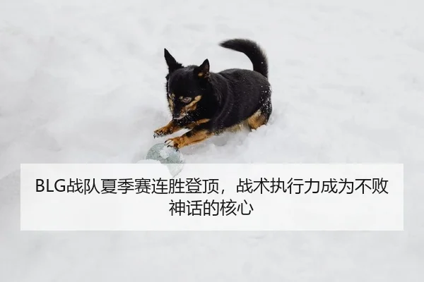 BLG战队夏季赛连胜登顶，战术执行力成为不败神话的核心
